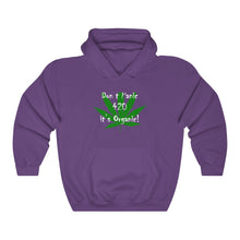 Load image into Gallery viewer, 420 Don&#39;t Panic It&#39;s Organic -  Hooded Sweatshirt